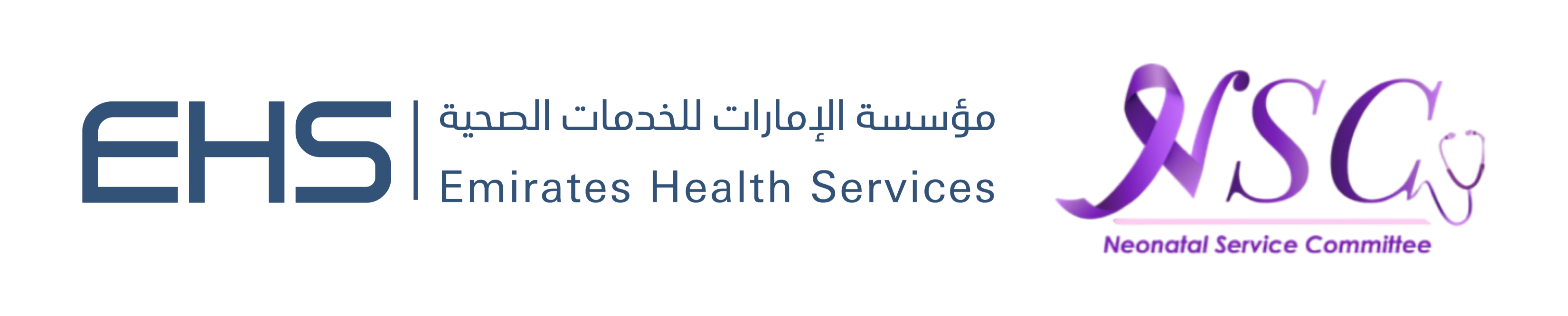 4th EHS International Neonatal Conference